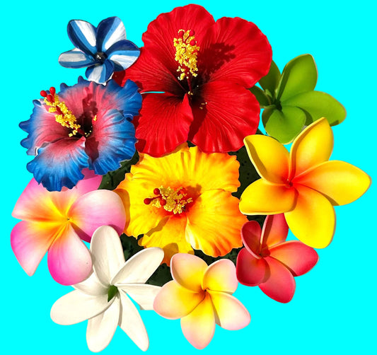 Kehaulani Bloom Box (10 Pieces)