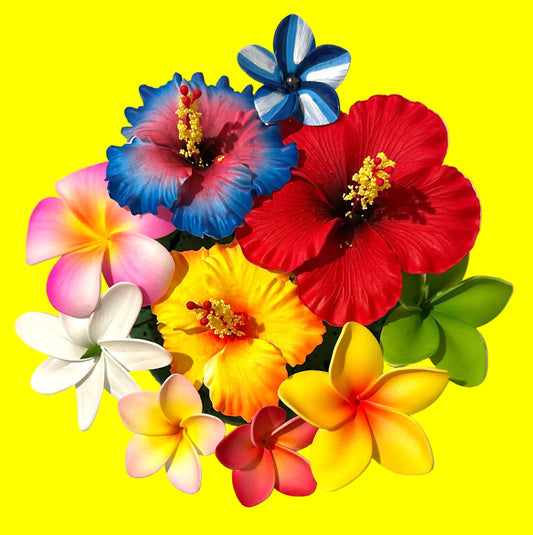 Kehaulani Bloom Box (10 Pieces)