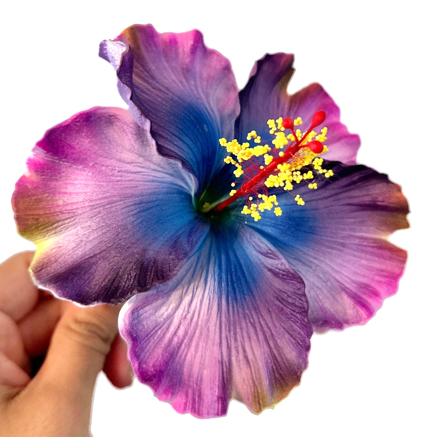 Aute (12 CM)