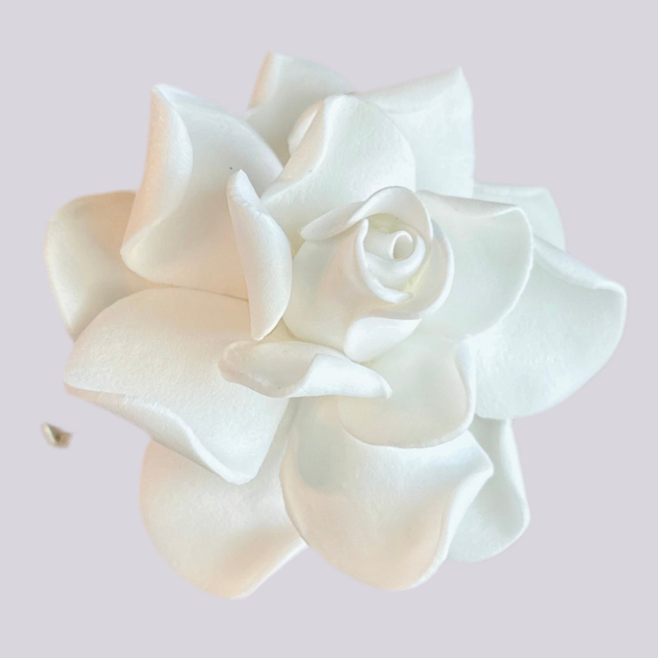 Gardenia (7 CM)