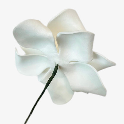 Gardenia (7 CM)