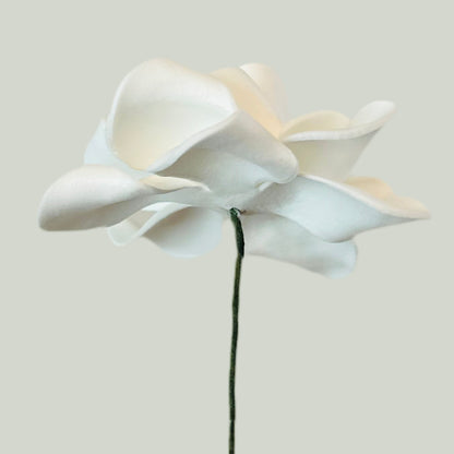 Gardenia (7 CM)