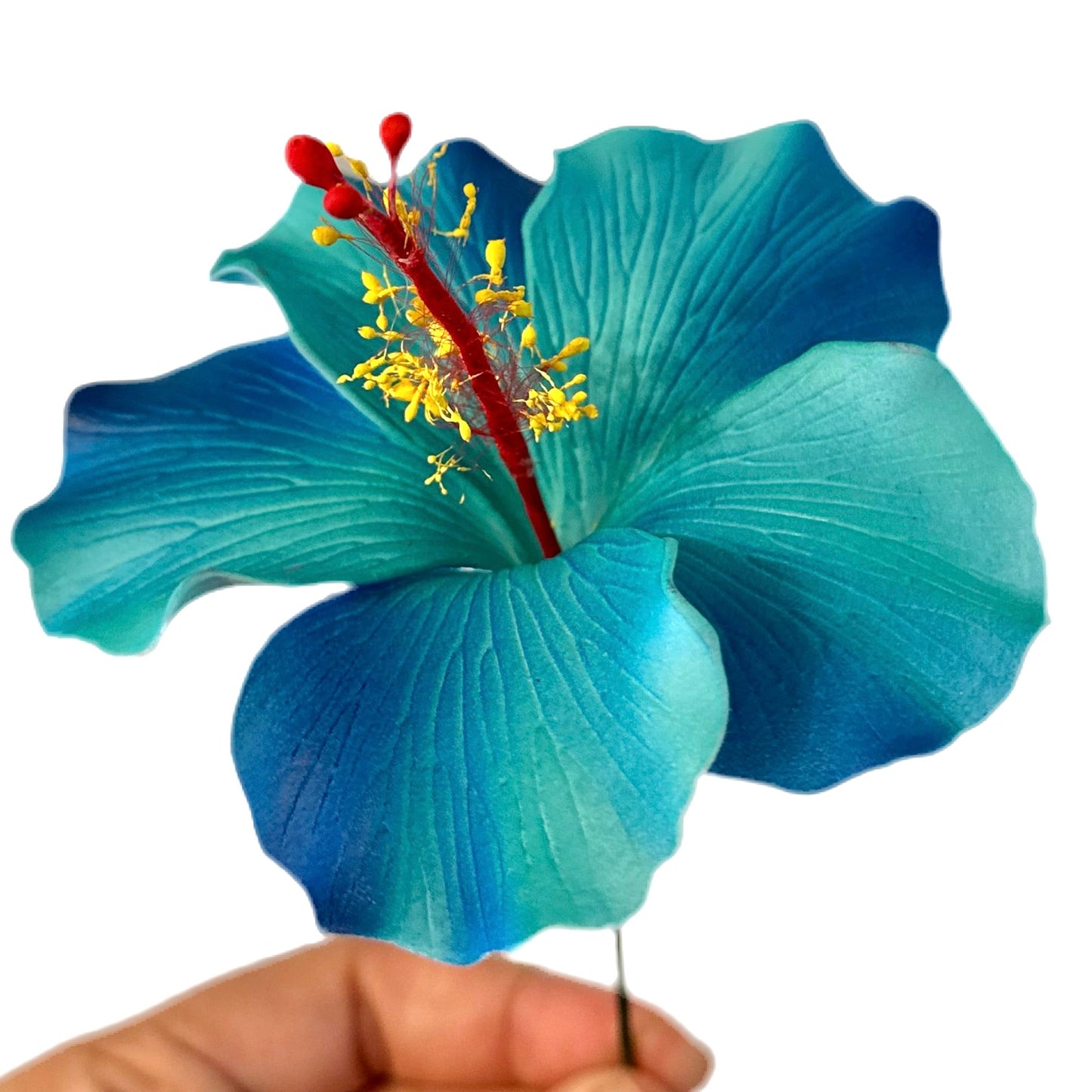 Aute (9 CM)