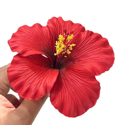Aute (11 CM)
