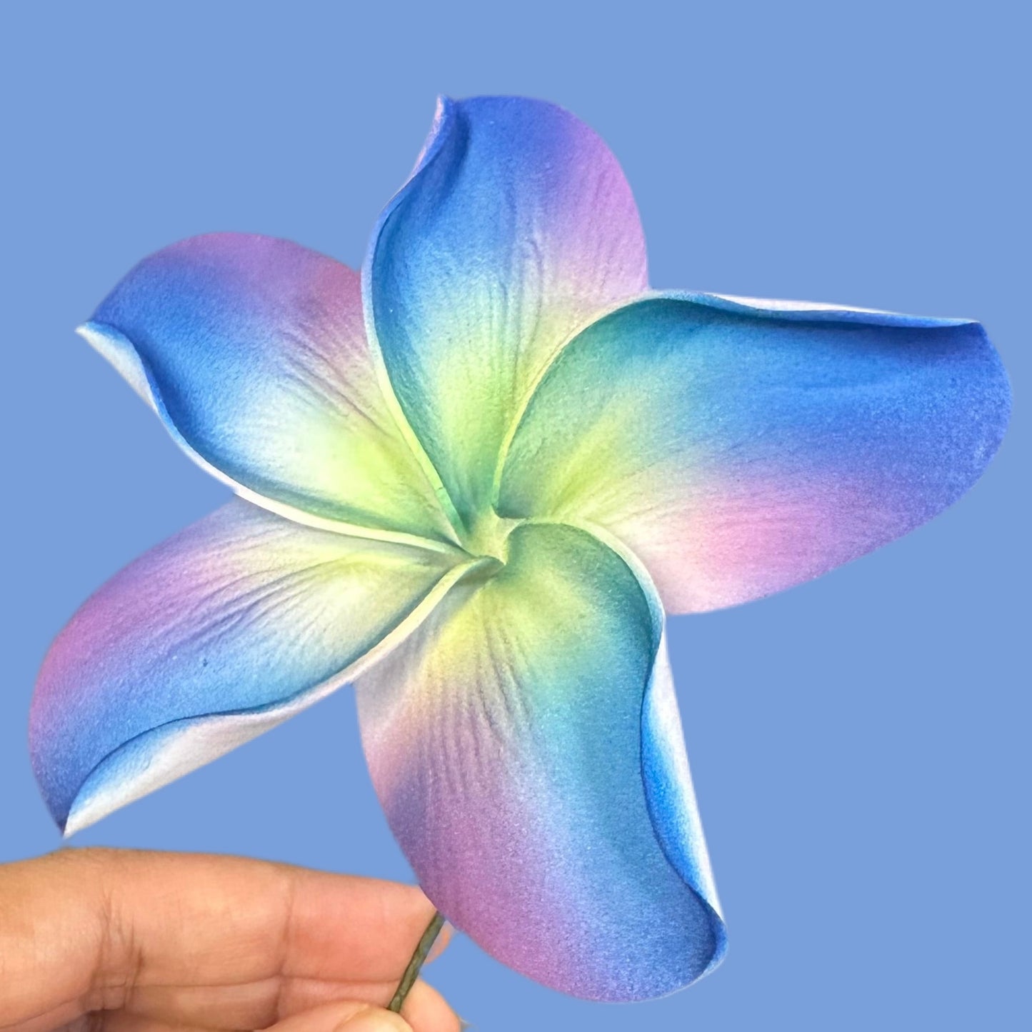 Pua (10 CM)