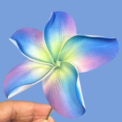 Pua (10 CM)