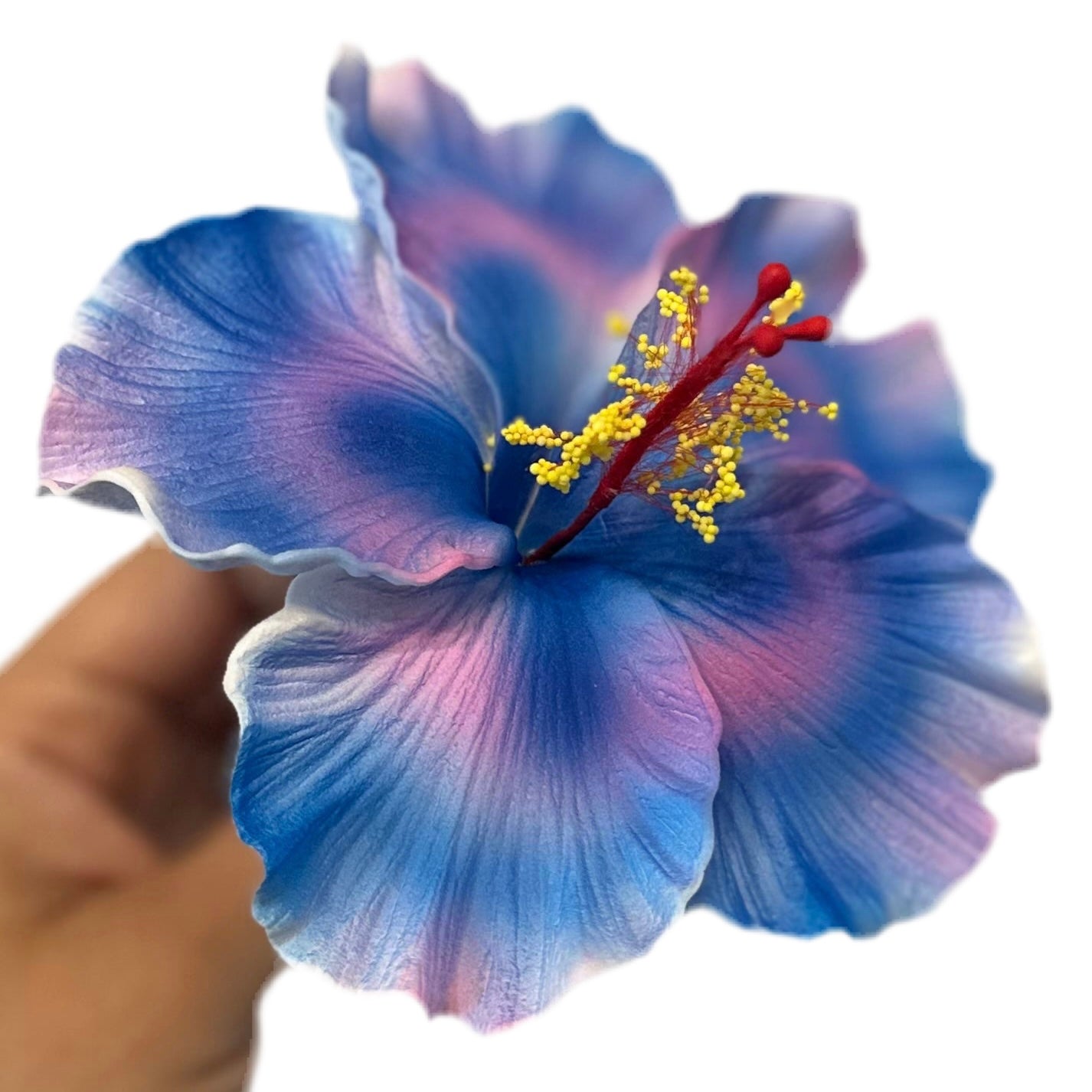 Aute (12 CM)