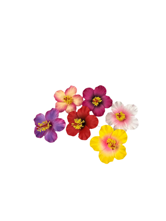 Aute (8.5 CM)