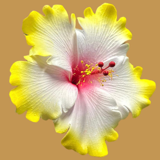 Aute (11.5 CM)