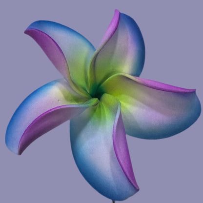 Pua (8 CM)