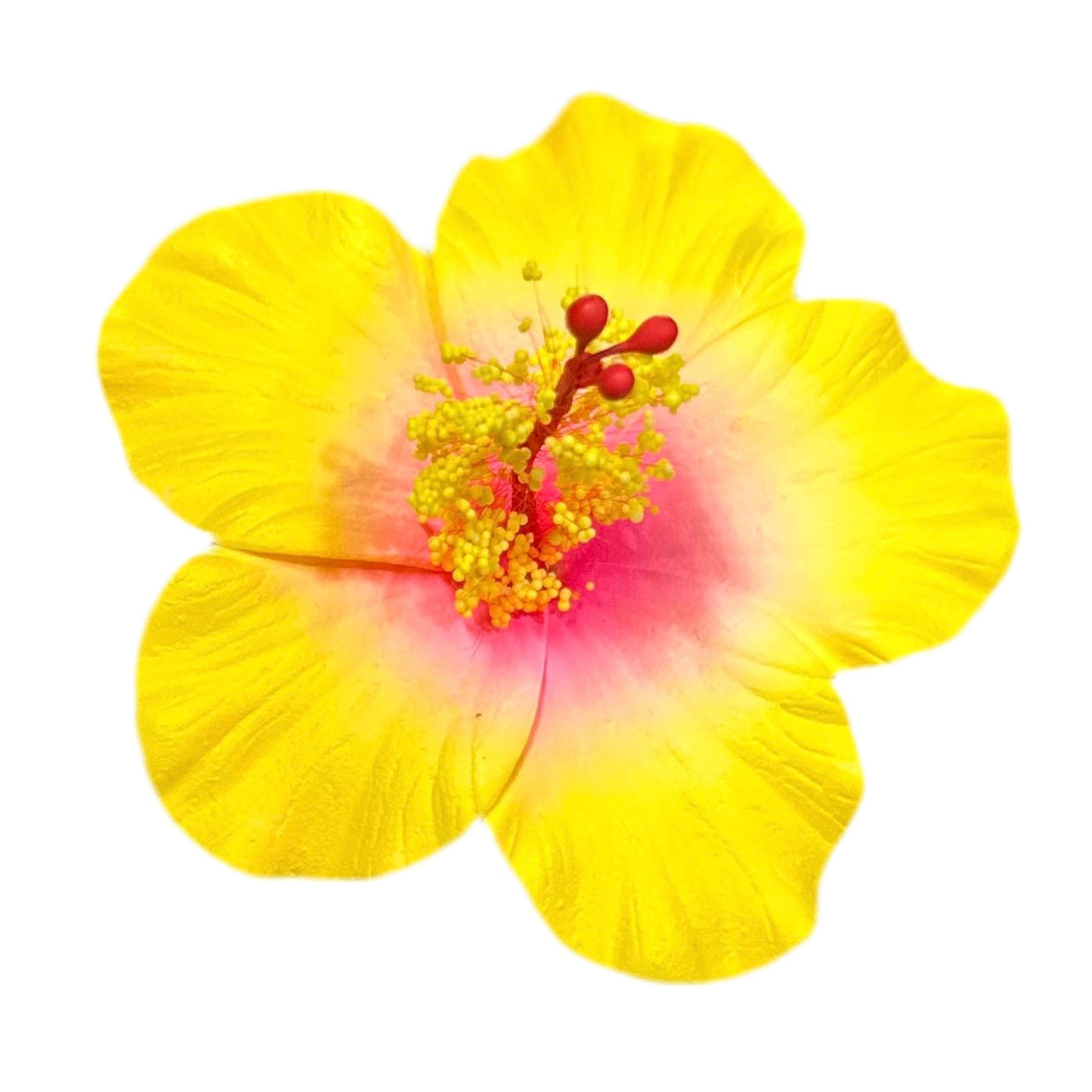 Aute (8.5 CM)