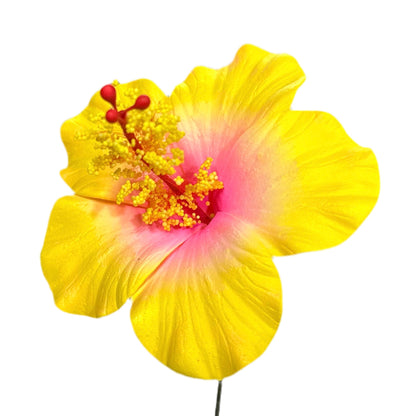 Aute (8.5 CM)