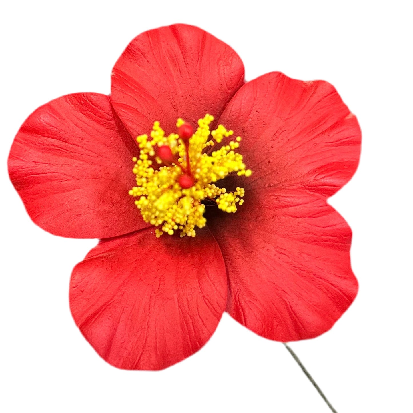 Aute (8.5 CM)