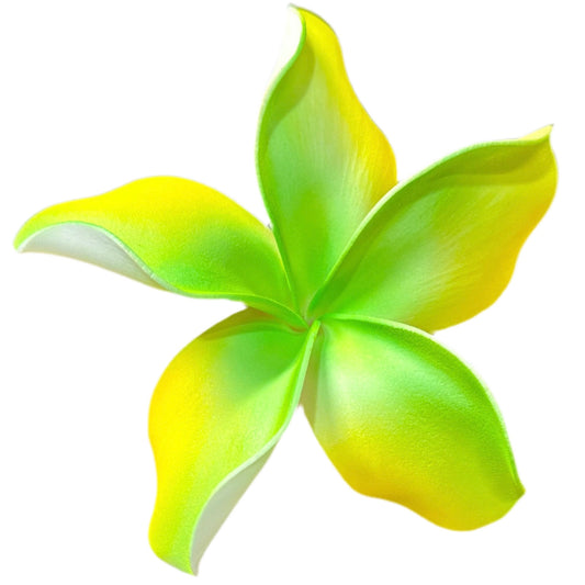 Pua (11 CM)