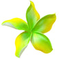 Pua (11 CM)