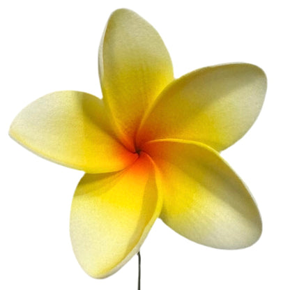 Pua (8 CM)