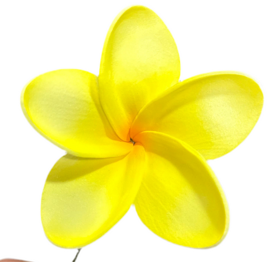 Pua (6.5 cm)