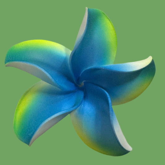 Pua (8 CM)
