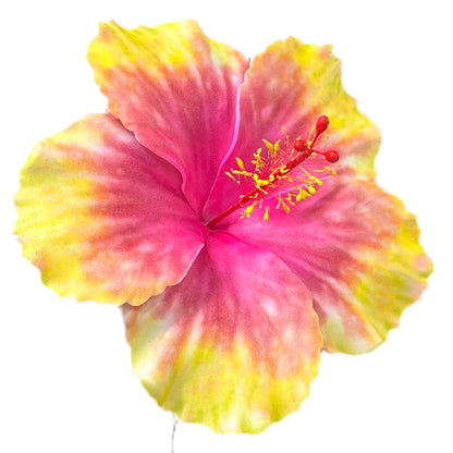 Aute (12 CM)