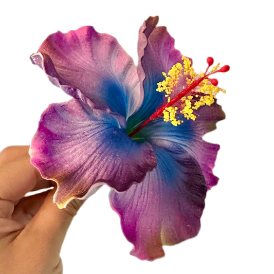 Aute (12 CM)