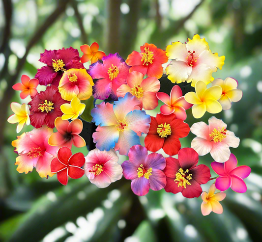 Flower Bundle XL (25 Pieces)