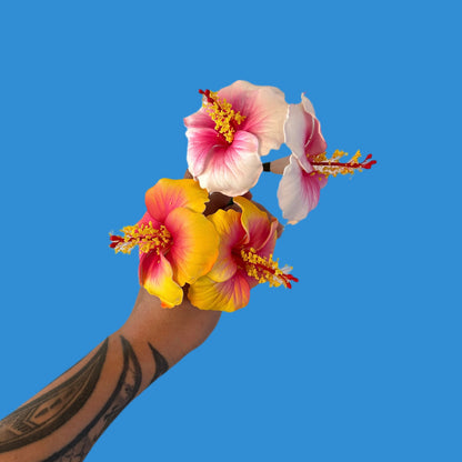 Double Hibiscus