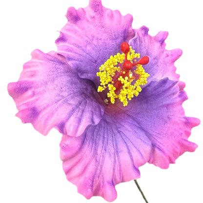 Aute (9 CM)