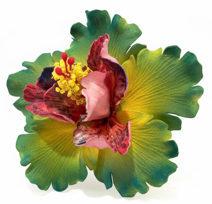 Exotic Hibiscus (11 CM)