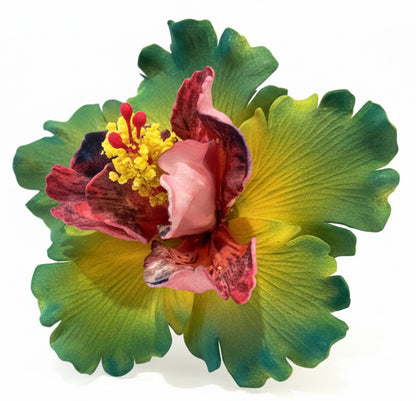 Exotic Hibiscus (11 CM)