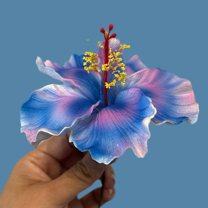Aute (12 CM)