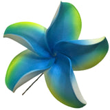 Pua (8 CM)