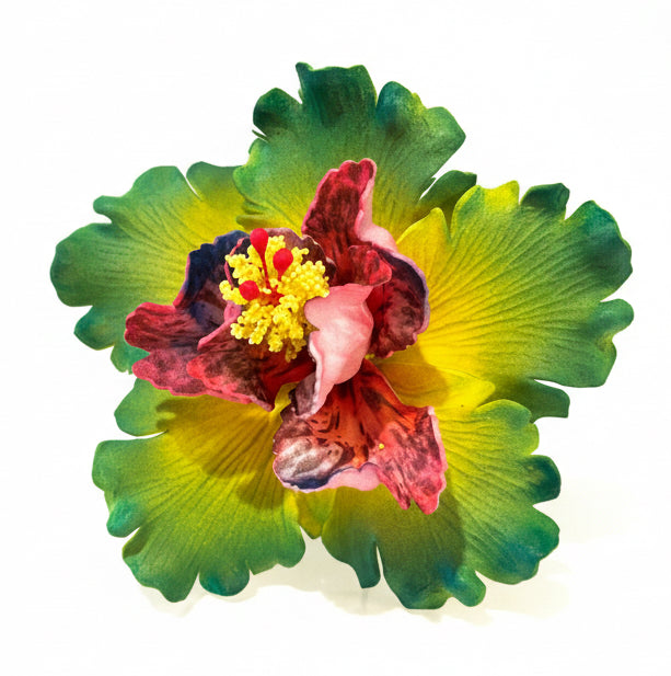 Exotic Hibiscus (11 CM)