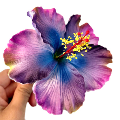 Aute (12 CM)