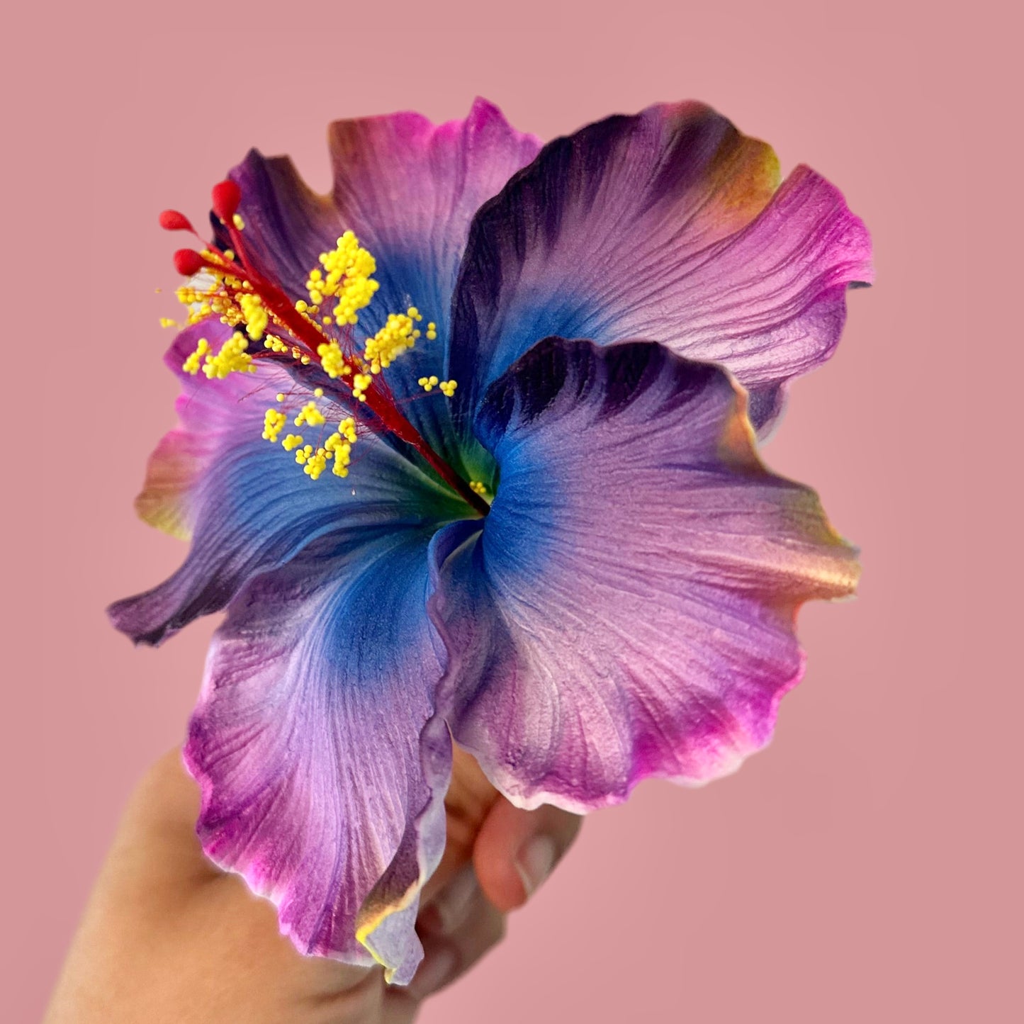 Aute (12 CM)