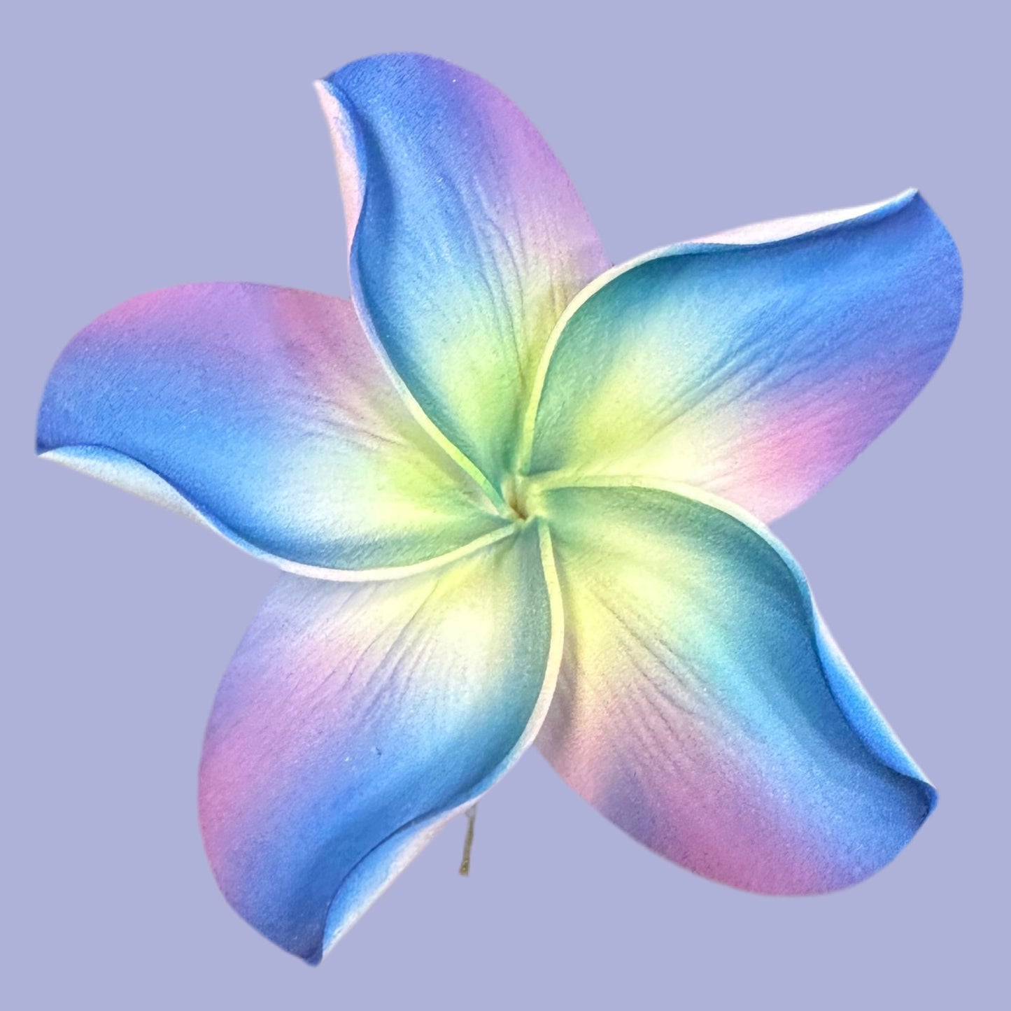 Pua (10 CM)