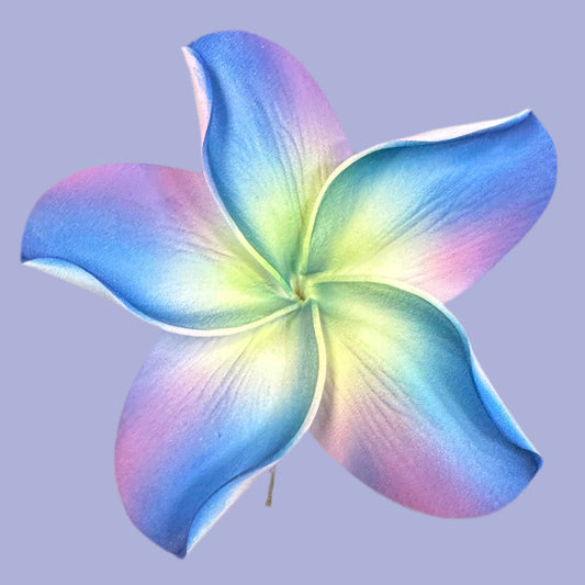Pua (10 CM)