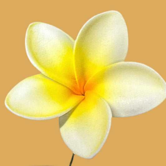 Pua (6 CM)