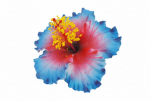 Load image into Gallery viewer, Faux Hibiscus (9 CM)
