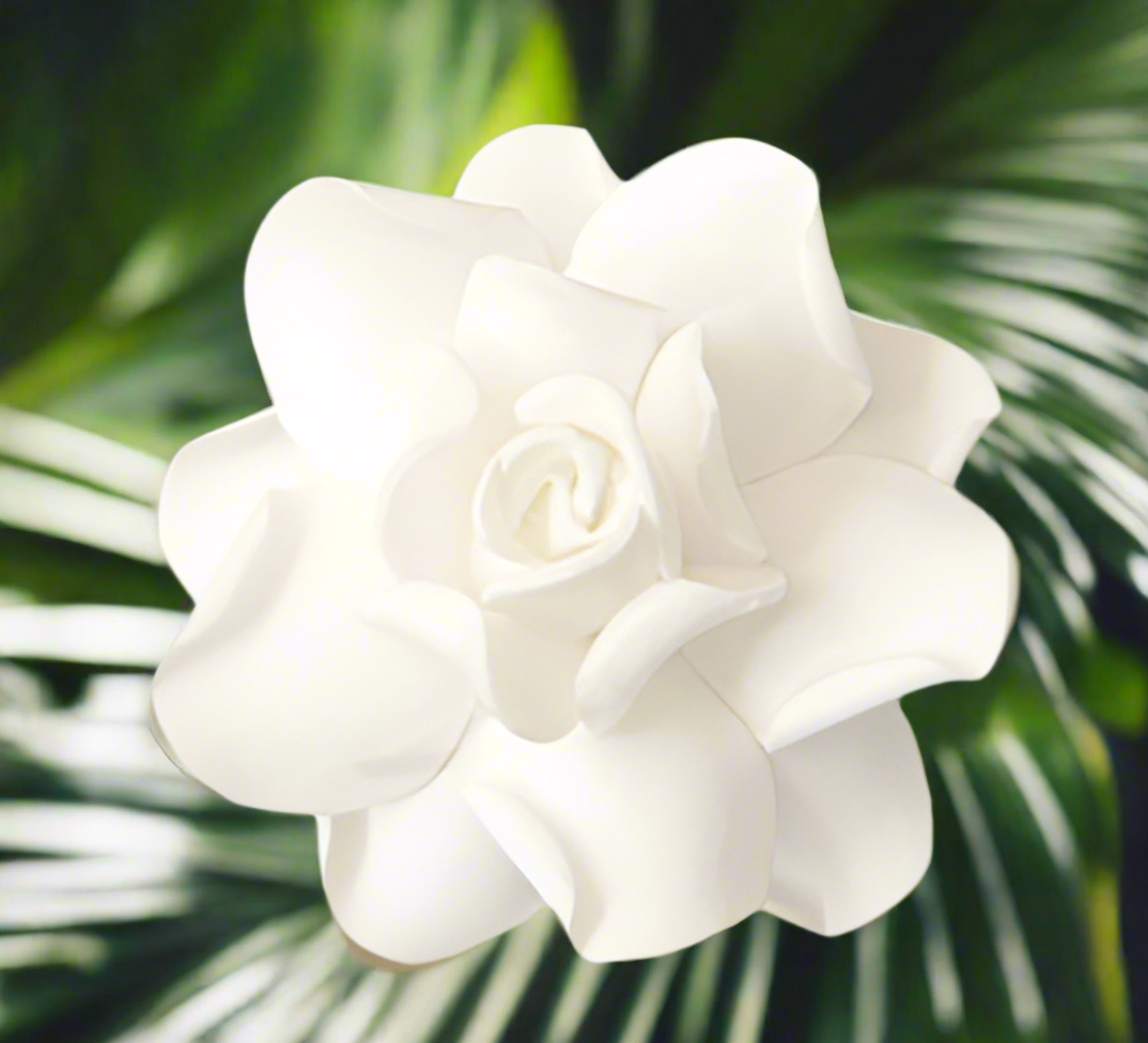 Gardenia (7 CM)