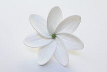 Load image into Gallery viewer, Faux Tiare (8 CM)
