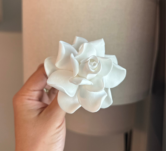 Gardenia (7 CM)