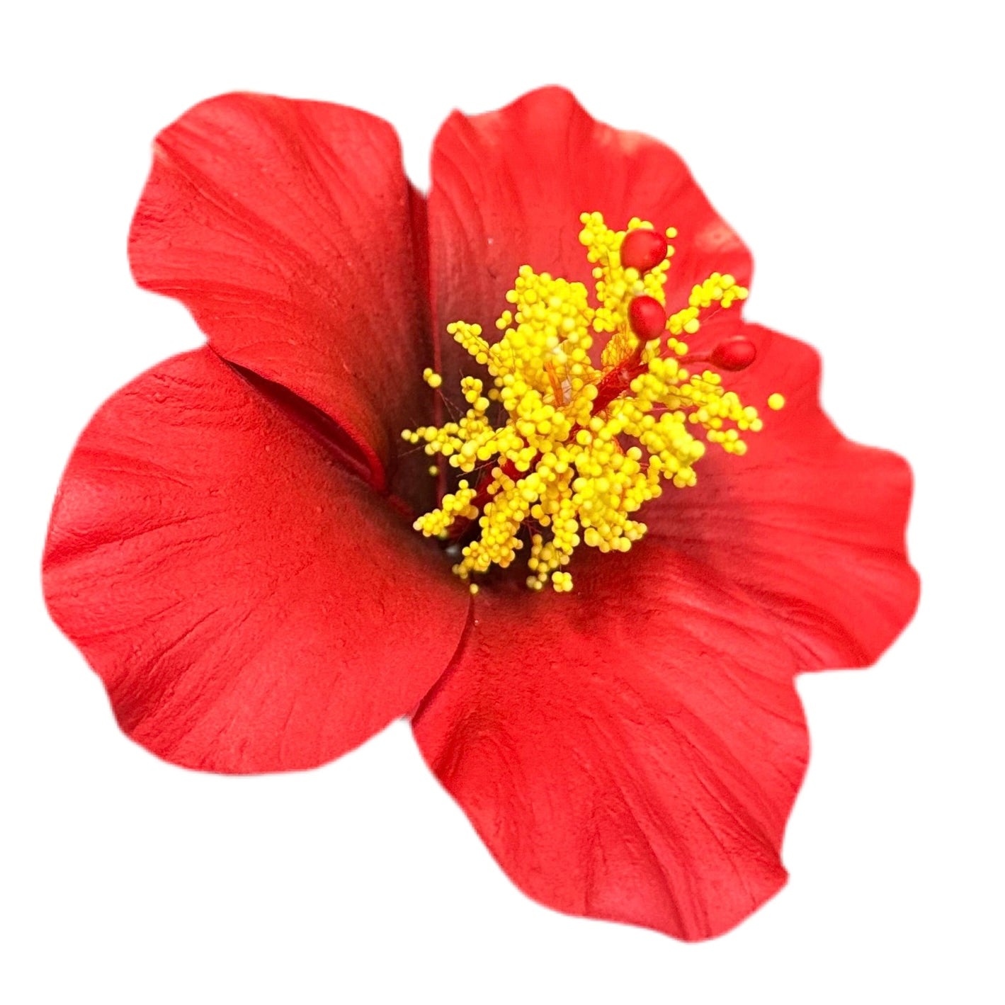Aute (8.5 CM)