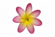 Load image into Gallery viewer, Faux Tiare (8 CM)
