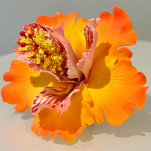 Load image into Gallery viewer, Exotic Hibiscus (11 CM)
