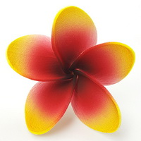 Pua (6.5 CM)
