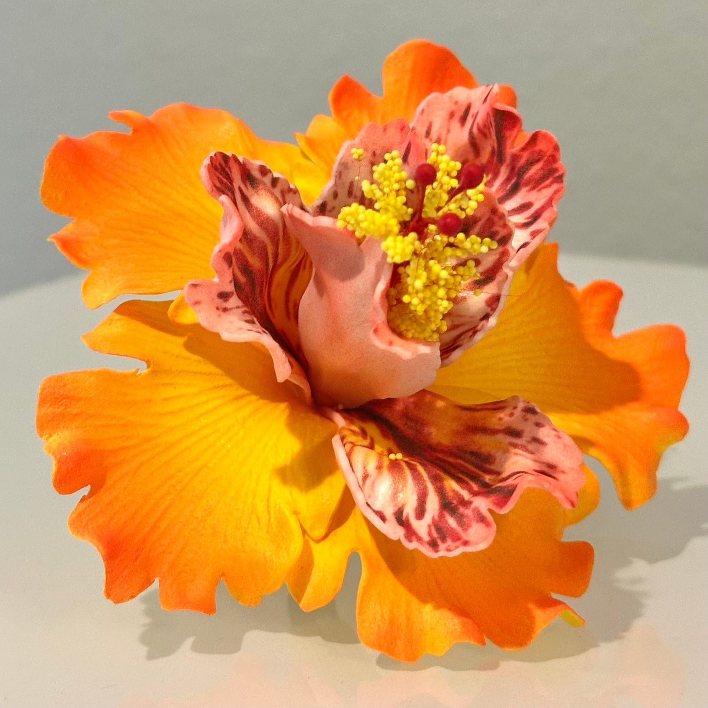 Exotic Hibiscus (11 CM)