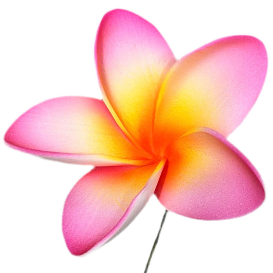 Pua (8 CM)