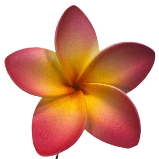 Pua (6 CM)