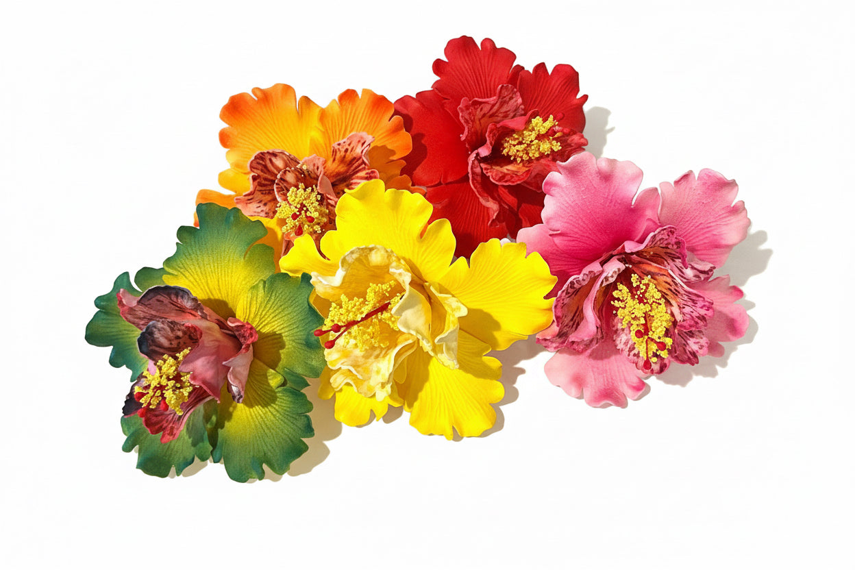 Exotic Hibiscus (11 CM)