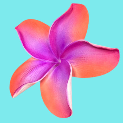 Pua (10 CM)